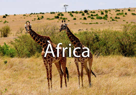 africa