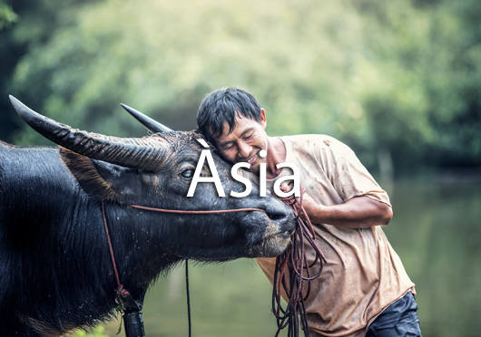 asia