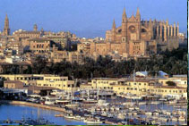 palma